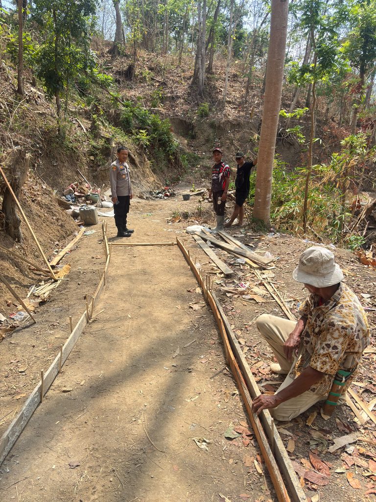 362850-768x1024-1.jpg