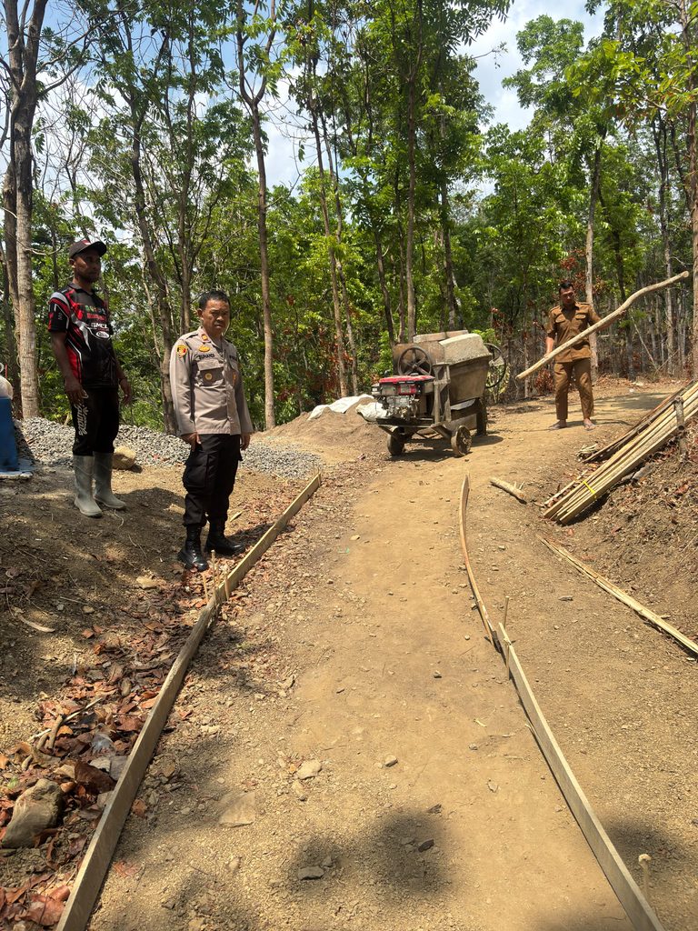 362854-768x1024-1.jpg